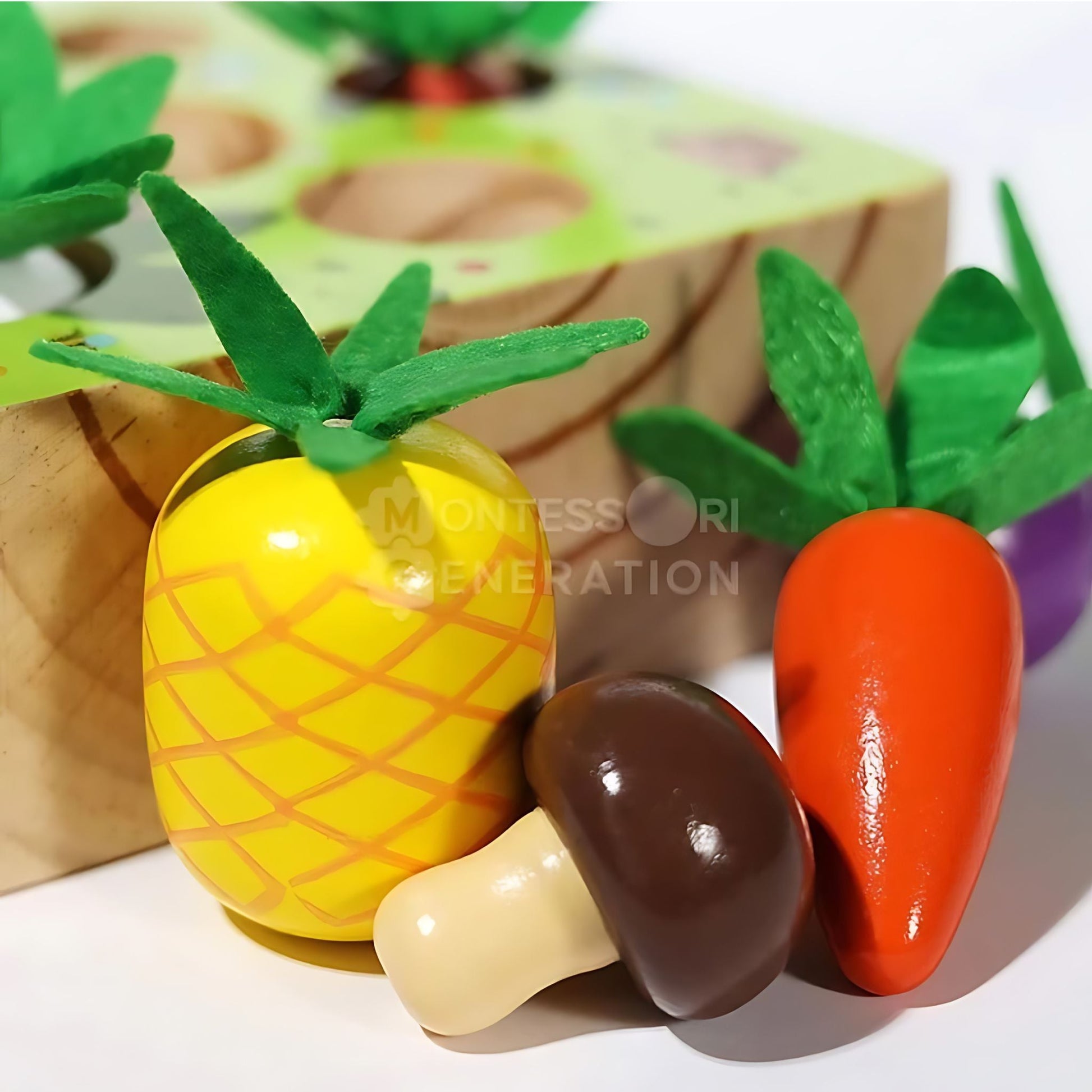 Montessori Toy: Wooden Vegetable & Fruits Shape Sorting Game for Kids! Sample 