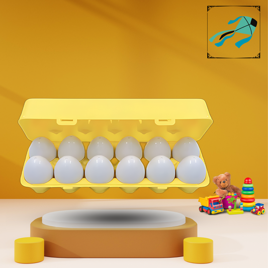 Montessori toy sorting egg carton set for children's sensory and matching play